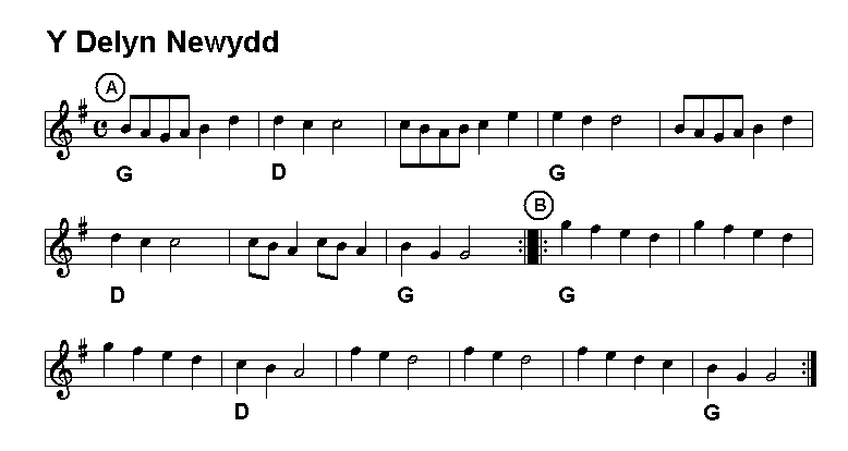 Y Delyn Newydd