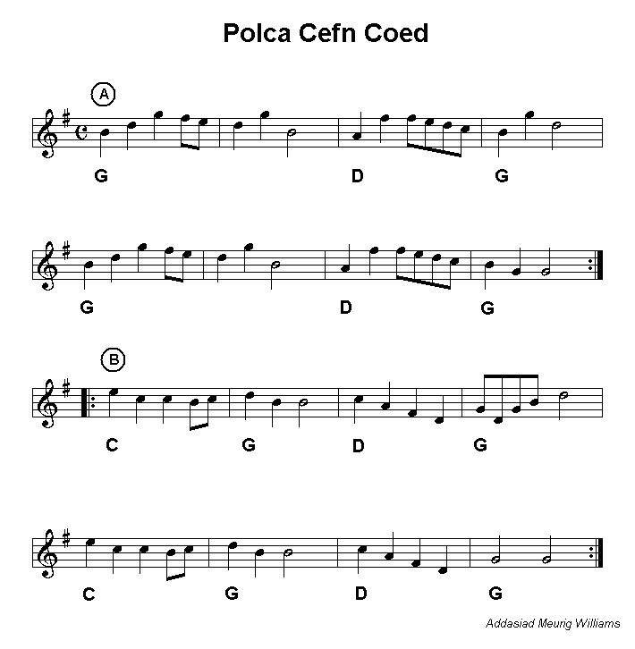 Polca Cefn Coed